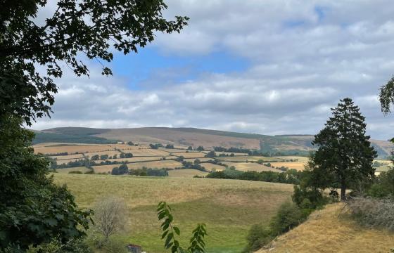 Plot with PP for sale in Harpton photo